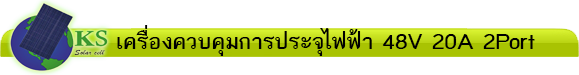 48-20a
